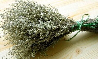 Wormwood jako prostředek boje proti parazitům