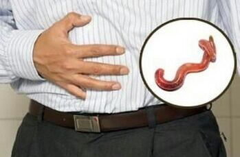 vliv parazitů na lidský organismus