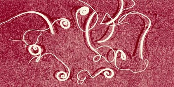 červy z lidského těla